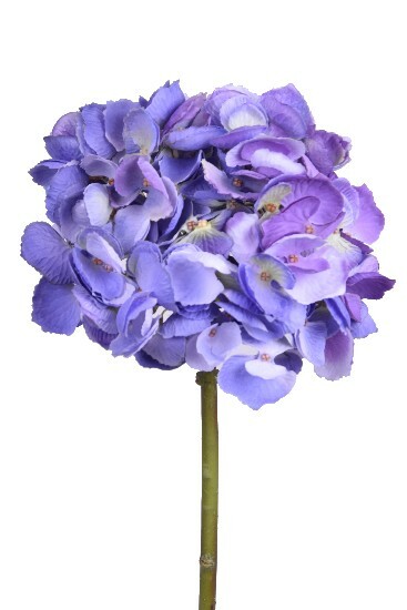 Kwiat hortensji, fioletowy|Ego Dekor