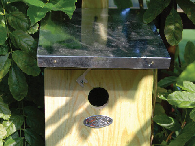 Birdhouse for Great Tit BEST FOR BIRDS, 17x22x33cm, natural wood|Esschert Design