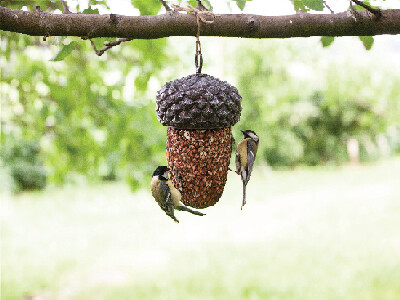 Krmítko pro ptáky ŽALUD, BEST FOR BIRDS, 14x21cm, šedá|Esschert Design