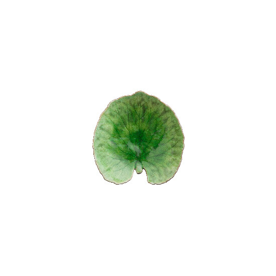 Miska Lístek 18cm, RIVIERA, černá/zelená|Tomate|Costa Nova