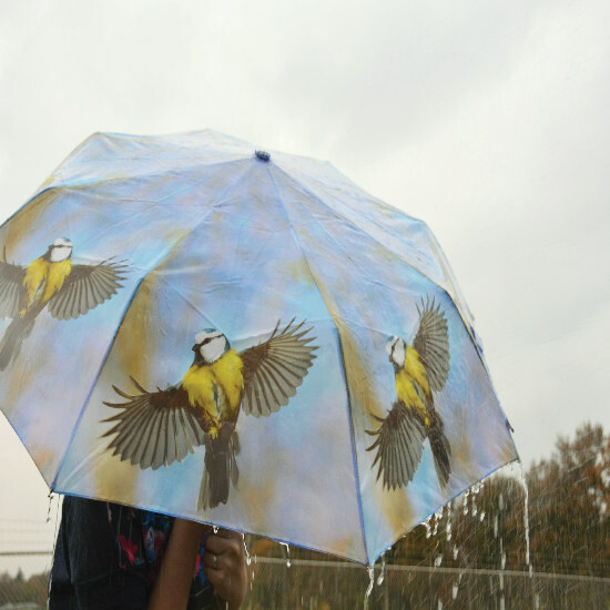 Parasol składany LOVEinNATURE, 100x55cm, sikorka/kura/rabbit|Esschert Design