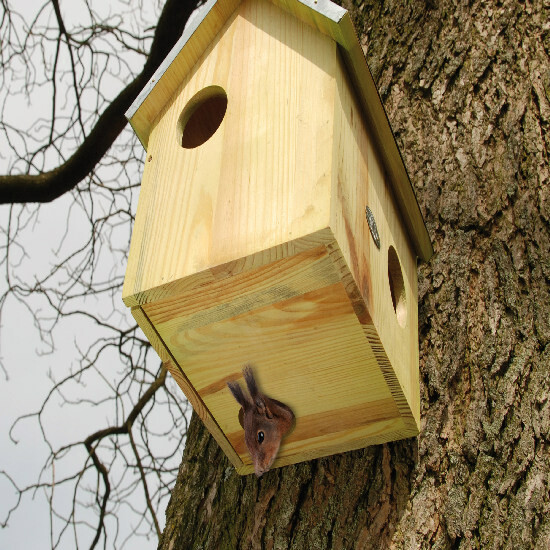 ED Budka pro veverku SQUIRREL HOUSE, se zinkovou stříškou, přírodní,25x26x29cm|Esschert Design