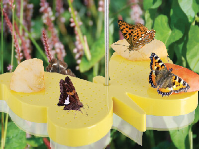 Butterfly feeder "BEST FOR BIRDS", transparent with yellow, butterfly shape, hanging on a metal hook, 23 x 17 x 23 cm|Esschert Design
