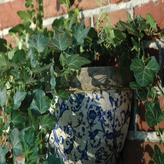 Nástenný kvetináč modrobiela keramika 