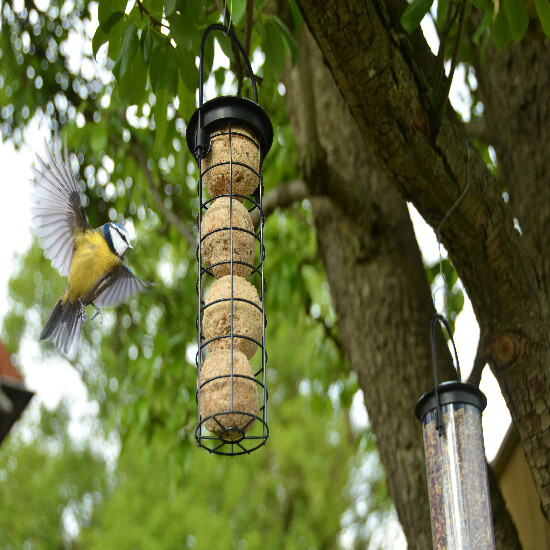 Zásobník na lojové koule BEST FOR BIRDS, závěsný, 24x8cm, černá|Esschert Design