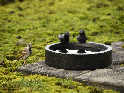 Pítko/krmítko pre vtáky NYAZOZO, granitové, čierna, 30x33x12cm|Esschert Design