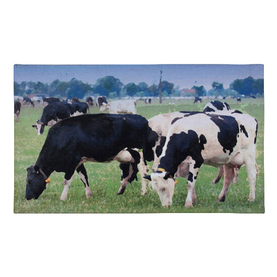 Podložka pod litinovou rohožku "BEST FOR BOOTS" - krávy, barvy, 76x46 cm (DOPRODEJ)|Esschert Design