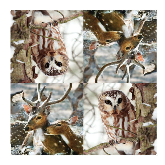 Deer/Owl Napkins (SALE)|Esschert Design