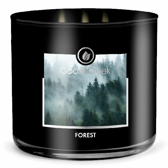 Candle MEN'S COLLECTION 0.41 KG FOREST, aromatic in a jar, 3 wicks|Goose Creek