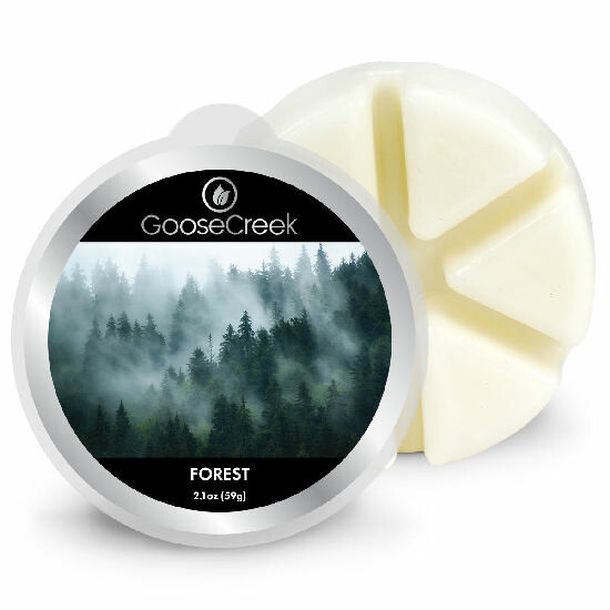 Wosk FOREST, 59g, do lamp zapachowych|Goose Creek