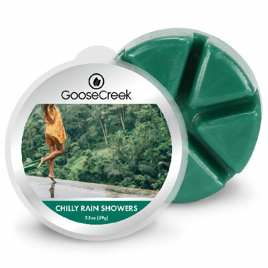 Vosk CHILLY RAIN SHOWER, 59g , do aroma lampy|Goose Creek