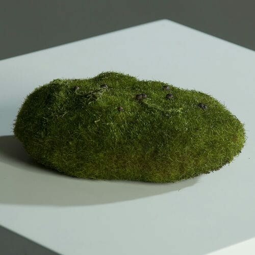 Sztuczna roślina/kwiat Mech, zielony, 10cm|Ego Dekor