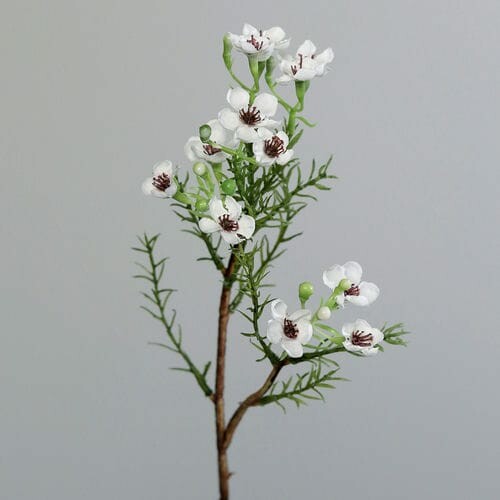 Artificial flower Herbs bunch, wax, cream, 25cm|Ego Dekor