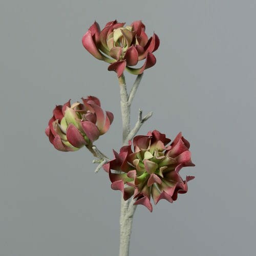 Rastlina/kvetina umelá Sukulent, zelená|tmavá, 43cm|Ego Dekor