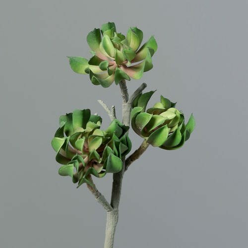 Rastlina/kvetina umelá Sukulent, zelená, 43cm|Ego Dekor