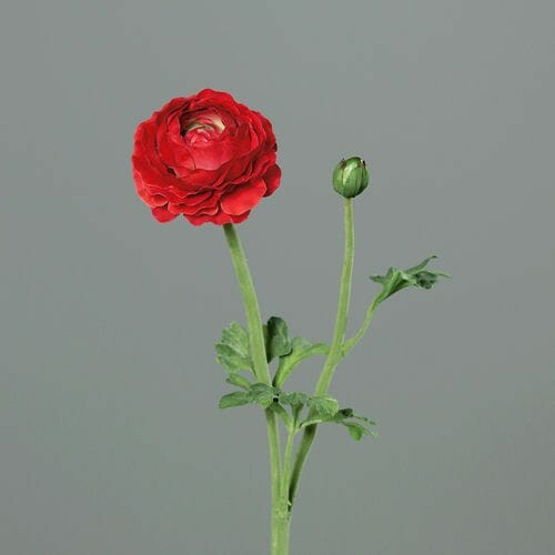 Květina umělá Pryskyřník květ/poupě, červená, 50cm|Ego Dekor