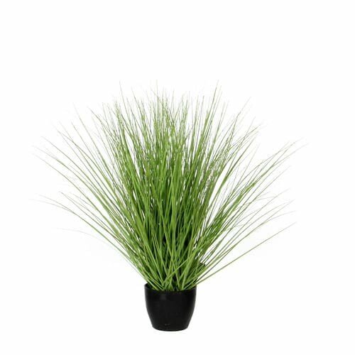 Grass in a flower pot FLOWEE, green, diameter 40x50cm|Ego Dekor