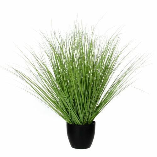 Grass in a flower pot FLOWEE, green, diameter 70x50cm|Ego Dekor