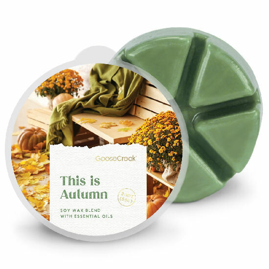 Wax THIS IS AUTUMN, 59g, for aroma lamp|Goose Creek