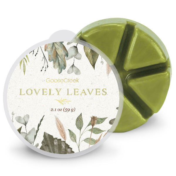 Vosk LOVELY LEAVES, 59 g, do arómy lampy | Goose Creek