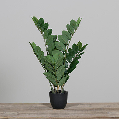 Sztuczny kwiat Zamiaculcas w czarnej plastikowej doniczce, 60 cm, tekstylny, zielony, (opakowanie zawiera 1 szt.)|DPI|Ego Dekor