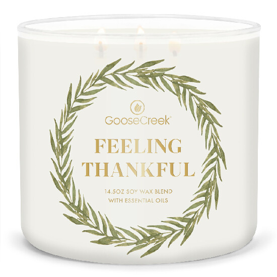 Candle 0.41 KG FEELING THANKFUL, aromatic in a jar, 3 wicks|Goose Creek