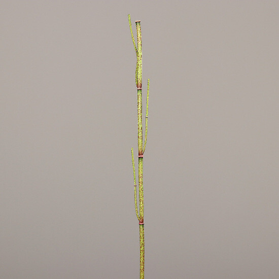 Dekoracja Skrzydełka, zielone, 115cm|Ego Dekor