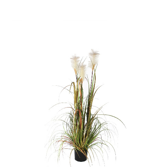 PLUME flower in a flowerpot, green, dia. 45cm|Ego Decor