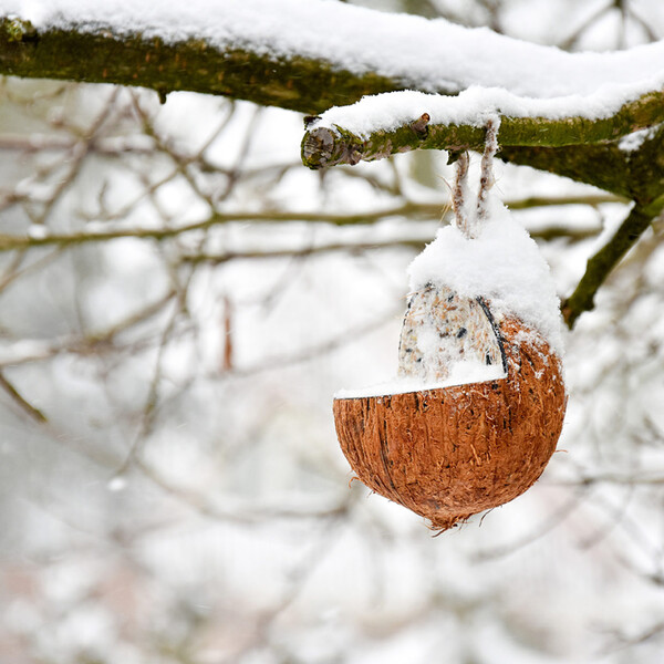 Bird feeder in coconut, hanging|Esschert Design