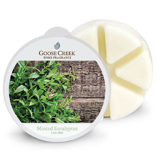 Wosk eukaliptusowy, 59g, do lampy zapachowej (Minted Eucalyptus)|Goose Creek