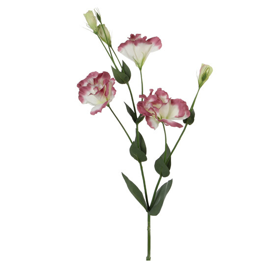 Kwiat Lisianthus, fiołek|Ego Dekor