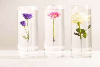 ESSCHERT DESIGN Váza na ponořené květiny 12 x 12 x 30 cm