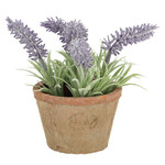 Lavender in a flower pot 