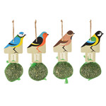 Bird feeder 