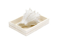 SHELL candle, creamy white, 13 x 8 x 9 cm, in a WOODEN gift box!|Ego Dekor