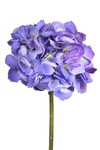 Hydrangea flower, purple|Ego Dekor