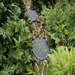 Walkway | mat, cast iron, Turtle, 32x23x2 cm|Esschert Design