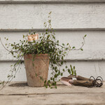 Markery do roślin, miedziane, opakowanie zawiera 6 szt.!|Esschert Design