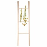 Herb rack Ladder|Esschert Design