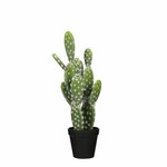 Kvetina CACTUS v kvetináči, zelená, v. 44cm|Ego Dekor