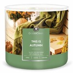 Candle 0.41 KG THIS IS AUTUMN, aromatic in a jar, 3 wicks|Goose Creek