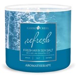 Świeca AROMATHERAPY 0,41 KG ŚWIEŻE POWIETRZE I SÓL MORSKA, aromatyczna w słoiczku, 3 knoty|Goose Creek