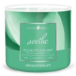 Świeca AROMATHERAPY 0,41 KG EUKALIPTUS I MIĘTA, aromatyczna w słoiczku, 3 knoty|Goose Creek