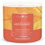 Świeca AROMATHERAPY 0,41 KG NEROLI & CYTRUS, aromatyczna w słoiczku, 3 knoty|Goose Creek