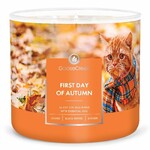 Candle 0.41 KG FIRST DAY OF AUTUMN, aromatic in a jar, 3 wicks|Goose Creek