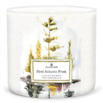 Candle 0.41 KG FIRST AUTUMN FROST, aromatic in a jar, 3 wicks|Goose Creek