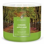 Candle 0.41 KG CARAMEL APPLE LANE, aromatic in a jar, 3 wicks|Goose Creek