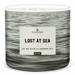 MEN'S COLLECTION candle 0.41 KG LOST AT SEA, aromatic in a jar, 3 wicks|Goose Creek