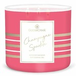 Candle 0.41 KG CHAMPANGE SPARKLE, aromatic in a jar, 3 wicks|Goose Creek