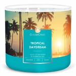 Candle 0.41 KG TROPICAL DAYDREAM, aromatic in a jar, 3 wicks|Goose Creek